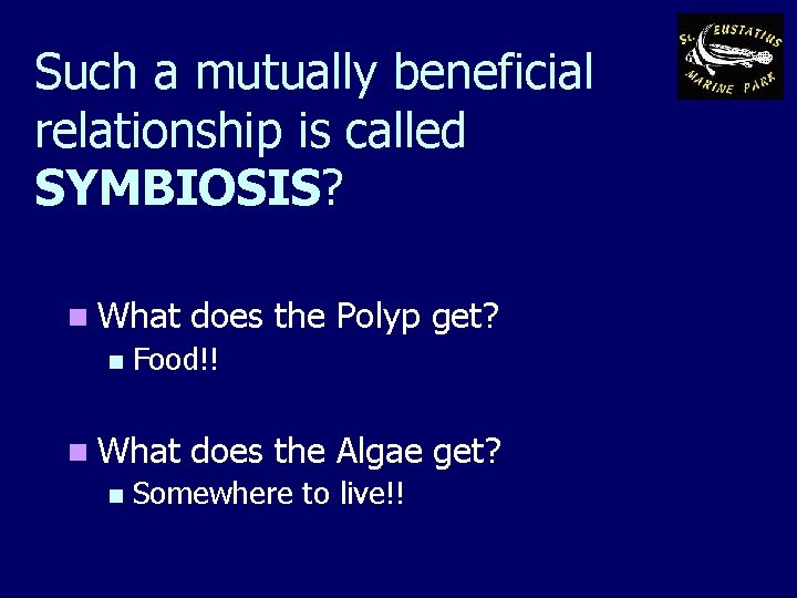 Such a mutually beneficial relationship is called SYMBIOSIS? n What n Food!! n What