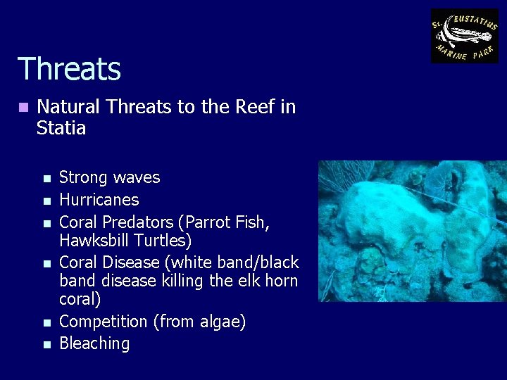 Threats n Natural Threats to the Reef in Statia n n n Strong waves