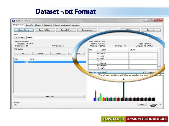 Dataset -. txt Format Dataset -. txt Format