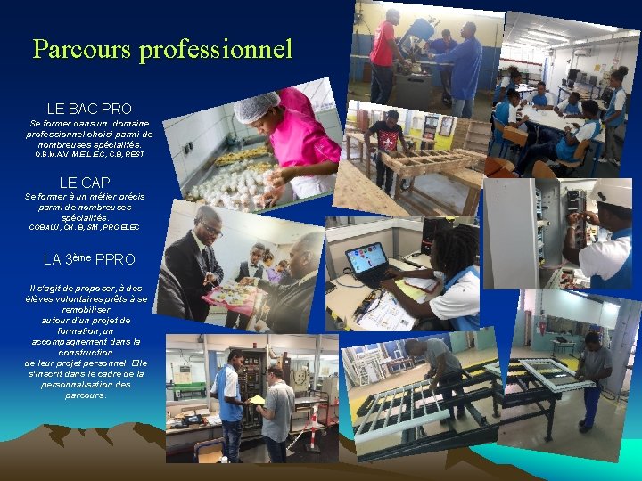 Parcours professionnel LE BAC PRO Se former dans un domaine professionnel choisi parmi de Parcours professionnel LE BAC PRO Se former dans un domaine professionnel choisi parmi de