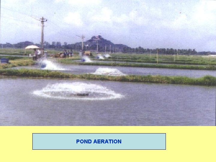 POND AERATION 