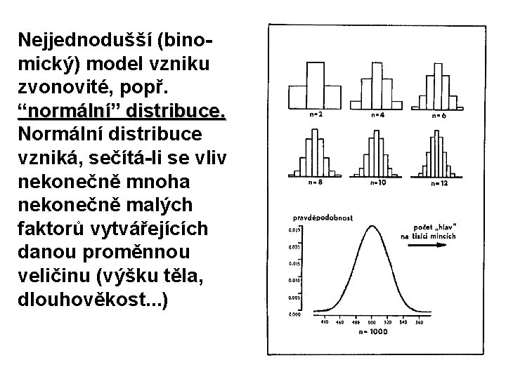 Nejjednodušší (binomický) model vzniku zvonovité, popř. “normální” distribuce. Normální distribuce vzniká, sečítá-li se vliv