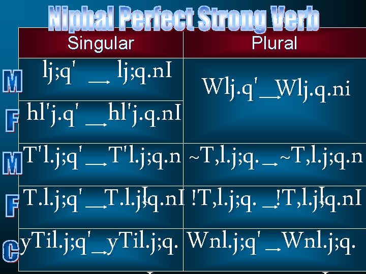 Singular lj; q' hl'j. q' T'l. j; q' T. l. j; q' y. Til.