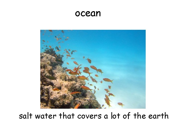 ocean salt water that covers a lot of the earth 