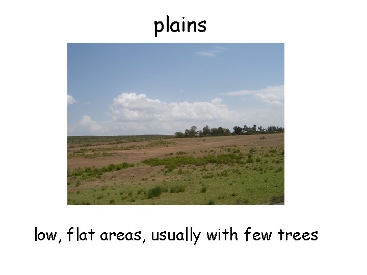 plains low, flat areas, usually with few trees 