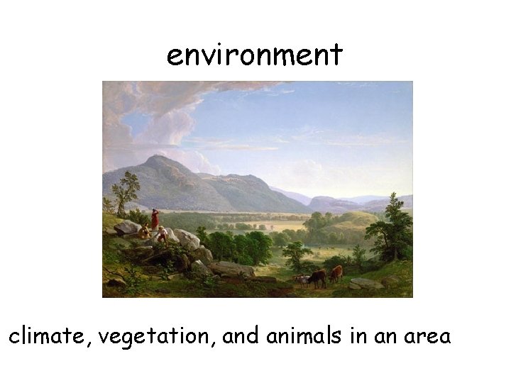 environment climate, vegetation, and animals in an area 