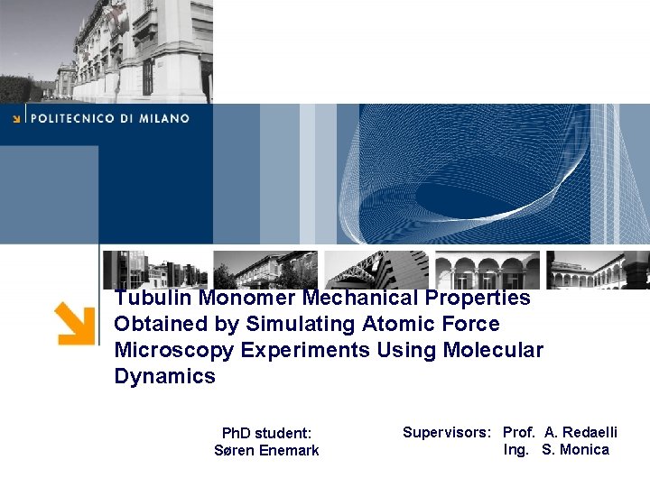 Tubulin Monomer Mechanical Properties Obtained by Simulating Atomic Force Microscopy Experiments Using Molecular Dynamics