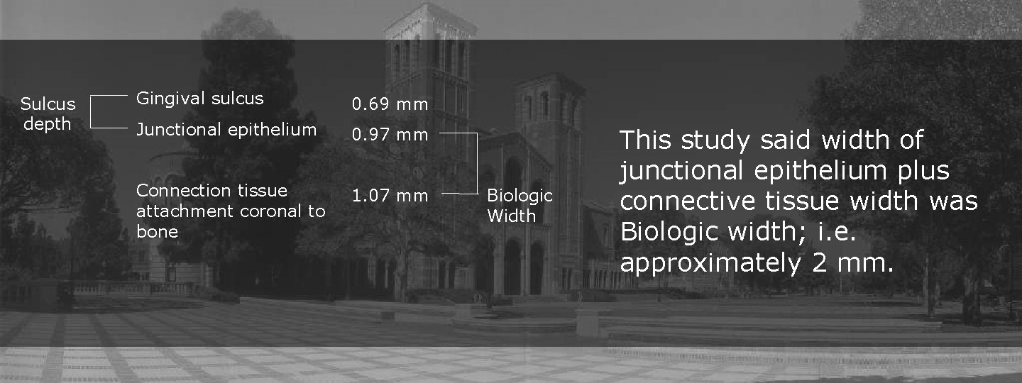 Sulcus depth Gingival sulcus 0. 69 mm Junctional epithelium 0. 97 mm Connection tissue