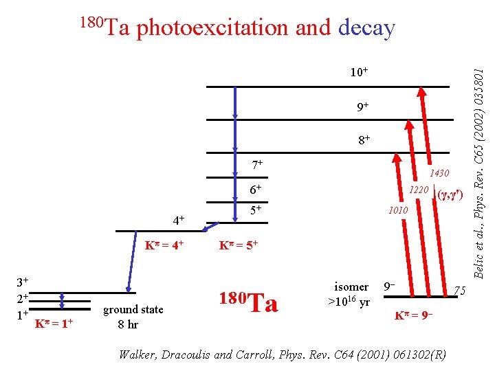 photoexcitation and decay 10+ 9+ 8+ 7+ 1430 6+ 4+ Kπ = 4+ 3+