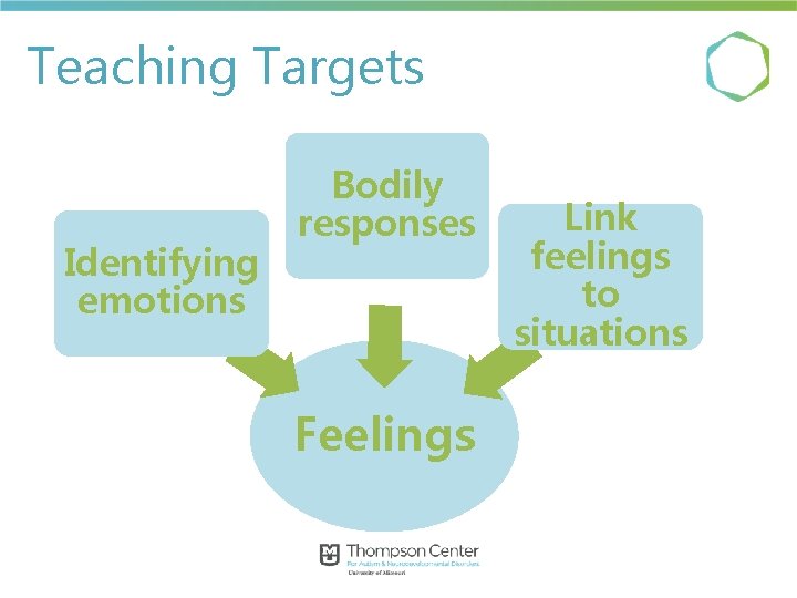 Teaching Targets Identifying emotions Bodily responses Feelings Link feelings to situations Teaching Targets Identifying emotions Bodily responses Feelings Link feelings to situations