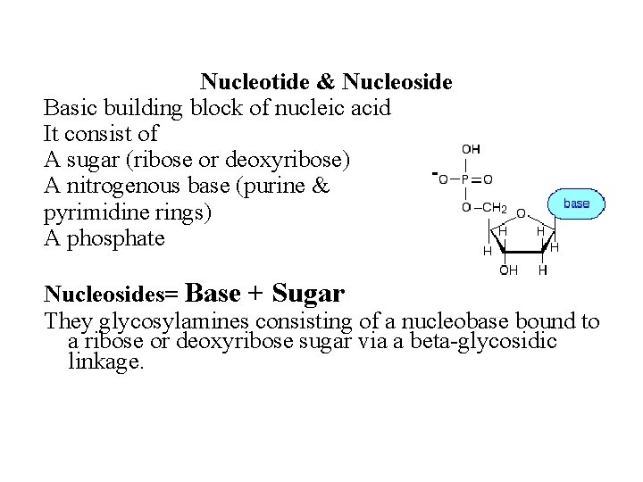 Nucleotide & Nucleoside Basic building block of nucleic acid It consist of A sugar
