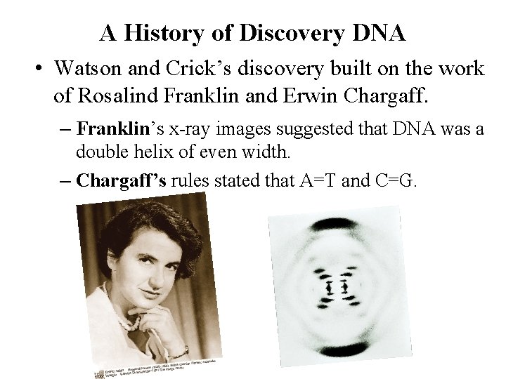 A History of Discovery DNA • Watson and Crick’s discovery built on the work