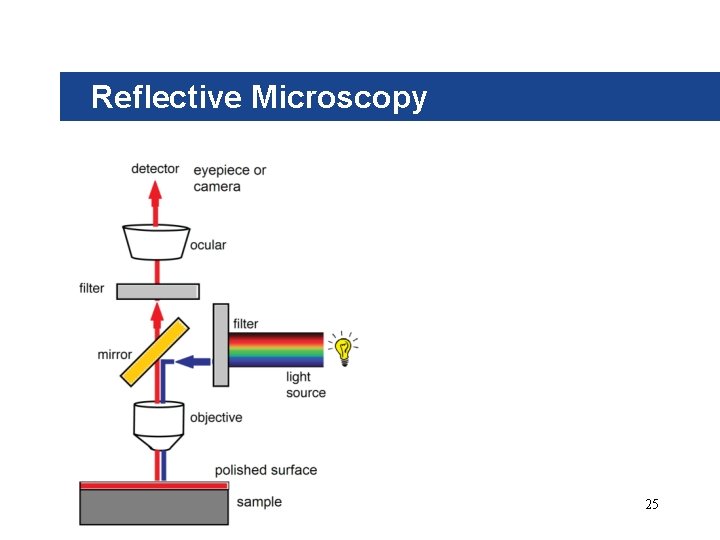 Reflective Microscopy 25 