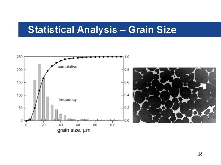 Statistical Analysis – Grain Size 28 