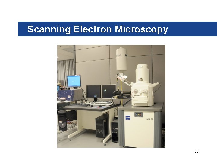 Scanning Electron Microscopy 30 