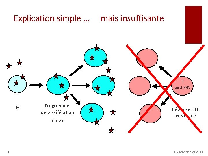 Explication simple … mais insuffisante T anti-EBV B Programme de prolifération B EBV+ 4