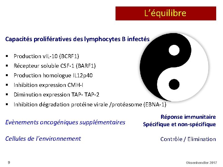 L’équilibre Capacités prolifératives des lymphocytes B infectés § Production v. IL-10 (BCRF 1) §