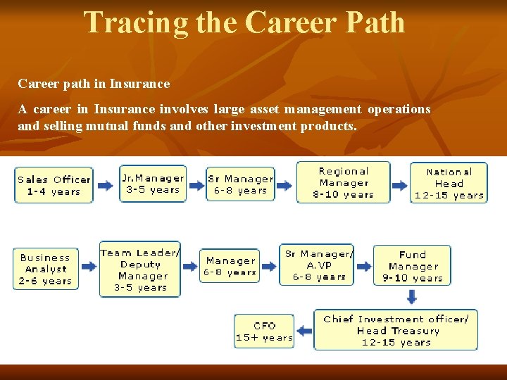 Tracing the Career Path Career path in Insurance A career in Insurance involves large Tracing the Career Path Career path in Insurance A career in Insurance involves large