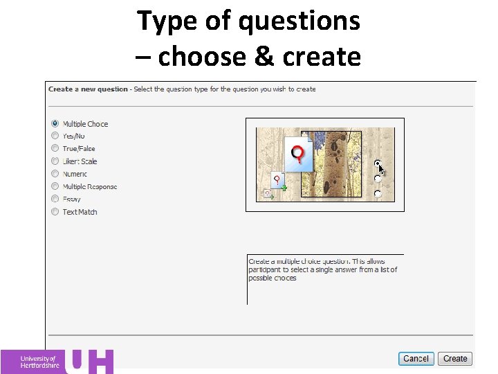 Type of questions – choose & create 