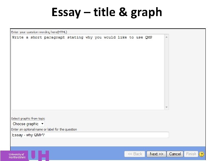 Essay – title & graph 