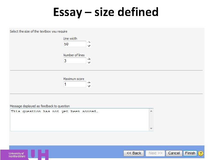 Essay – size defined 