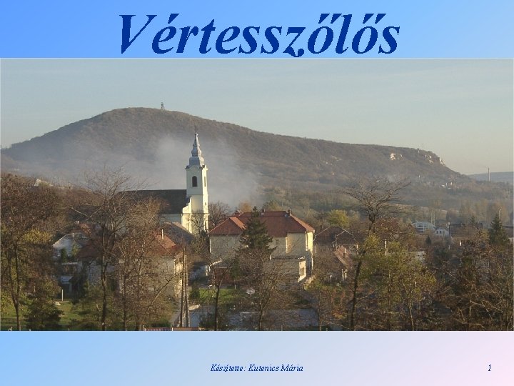 Vértesszőlős Készítette: Kutenics Mária 1 