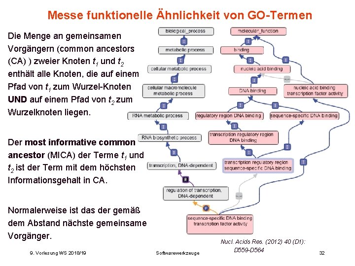 Messe funktionelle Ähnlichkeit von GO-Termen Die Menge an gemeinsamen Vorgängern (common ancestors (CA) ) Messe funktionelle Ähnlichkeit von GO-Termen Die Menge an gemeinsamen Vorgängern (common ancestors (CA) )
