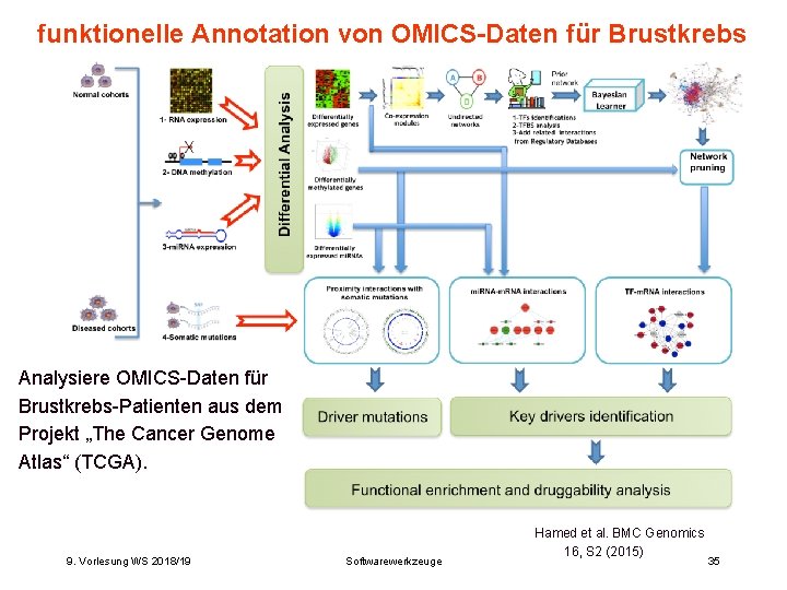 funktionelle Annotation von OMICS-Daten für Brustkrebs Analysiere OMICS-Daten für Brustkrebs-Patienten aus dem Projekt „The funktionelle Annotation von OMICS-Daten für Brustkrebs Analysiere OMICS-Daten für Brustkrebs-Patienten aus dem Projekt „The