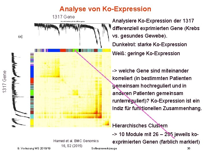 Analyse von Ko-Expression 1317 Gene Analysiere Ko-Expression der 1317 differenziell exprimierten Gene (Krebs vs. Analyse von Ko-Expression 1317 Gene Analysiere Ko-Expression der 1317 differenziell exprimierten Gene (Krebs vs.