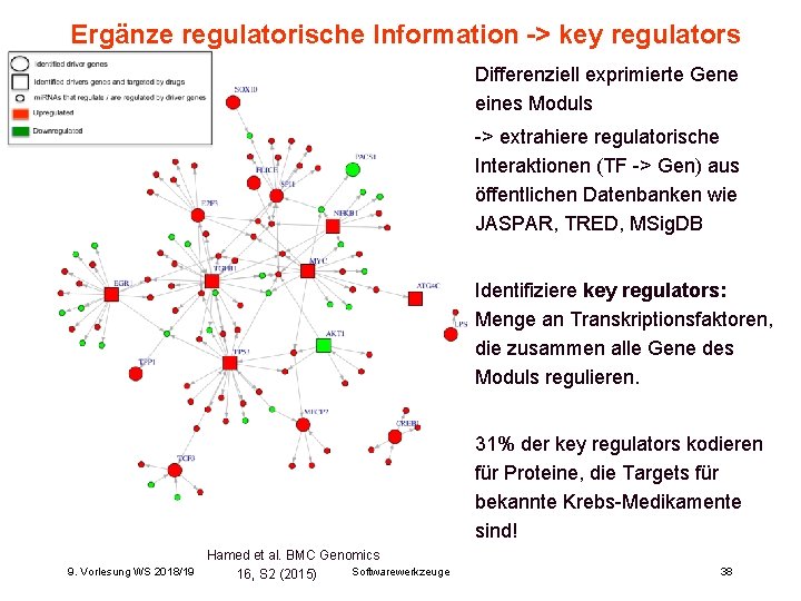 Ergänze regulatorische Information -> key regulators Differenziell exprimierte Gene eines Moduls -> extrahiere regulatorische Ergänze regulatorische Information -> key regulators Differenziell exprimierte Gene eines Moduls -> extrahiere regulatorische