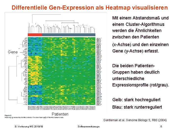 Differentielle Gen-Expression als Heatmap visualisieren Mit einem Abstandsmaß und einem Cluster-Algorithmus werden die Ähnlichkeiten Differentielle Gen-Expression als Heatmap visualisieren Mit einem Abstandsmaß und einem Cluster-Algorithmus werden die Ähnlichkeiten