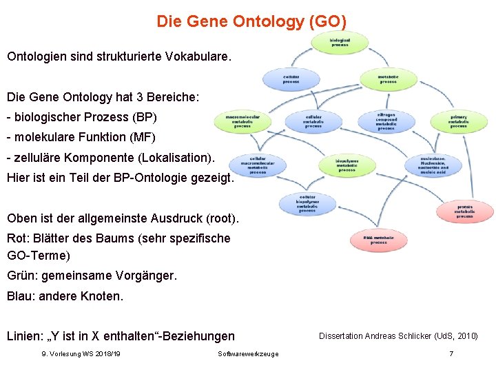 Die Gene Ontology (GO) Ontologien sind strukturierte Vokabulare. Die Gene Ontology hat 3 Bereiche: Die Gene Ontology (GO) Ontologien sind strukturierte Vokabulare. Die Gene Ontology hat 3 Bereiche: