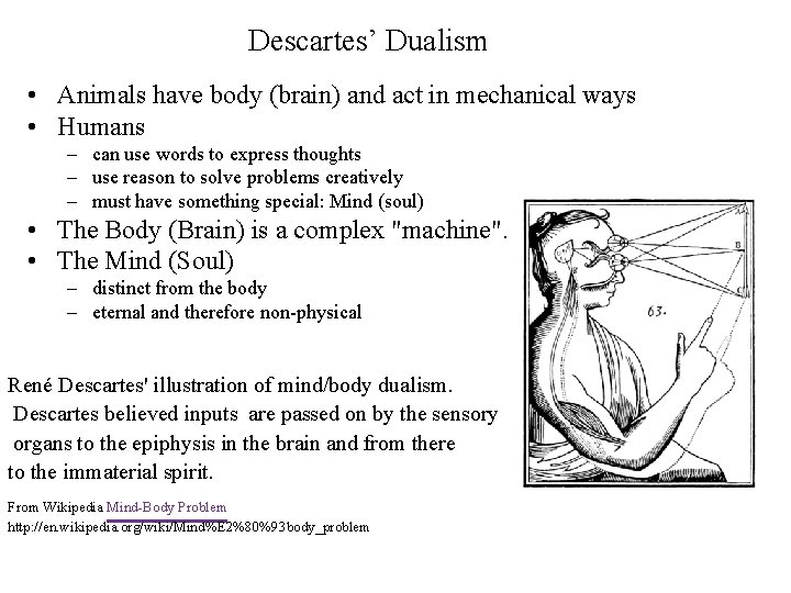 Descartes’ Dualism • Animals have body (brain) and act in mechanical ways • Humans