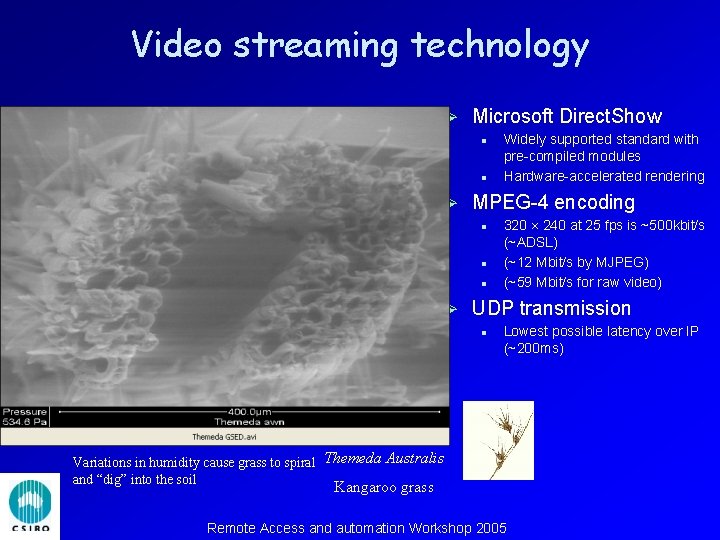 Video streaming technology Ø Microsoft Direct. Show l l Ø MPEG-4 encoding l l