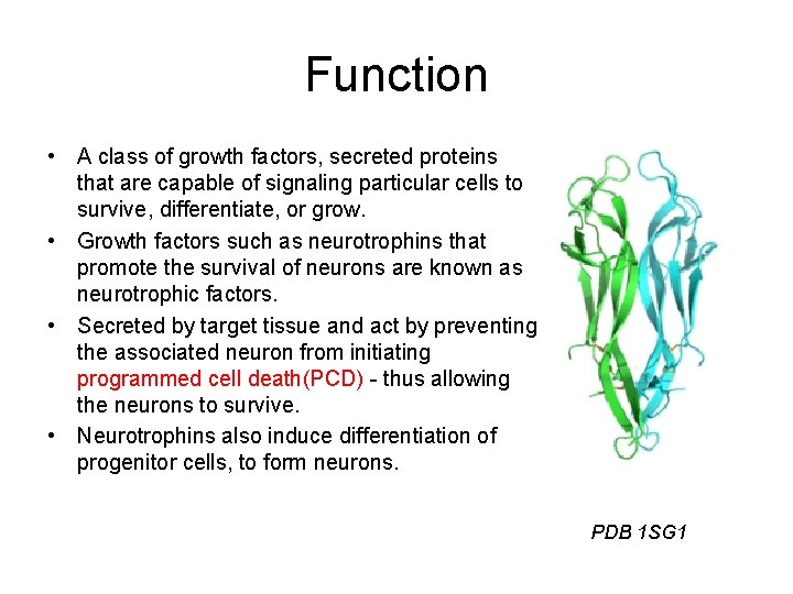 Function • A class of growth factors, secreted proteins that are capable of signaling