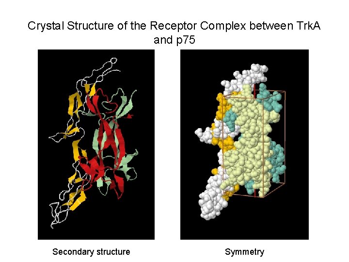 Crystal Structure of the Receptor Complex between Trk. A and p 75 Secondary structure