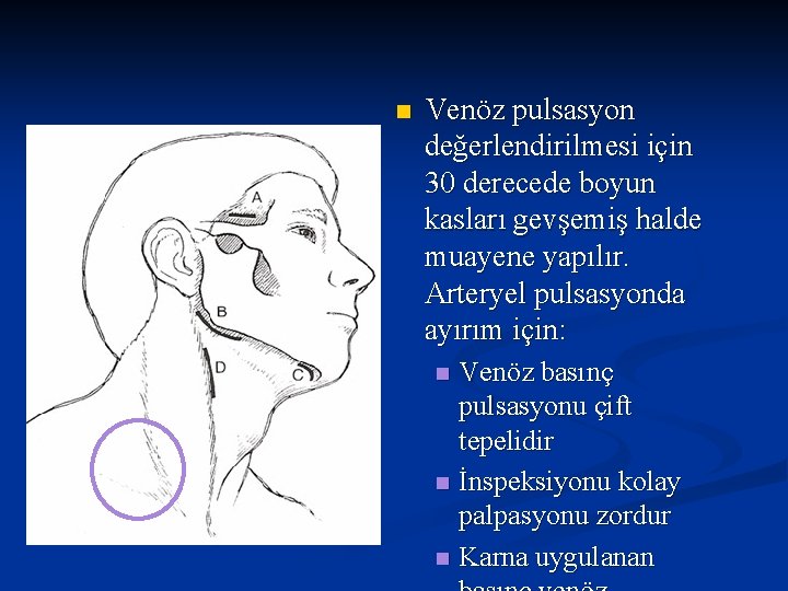 n Venöz pulsasyon değerlendirilmesi için 30 derecede boyun kasları gevşemiş halde muayene yapılır. Arteryel