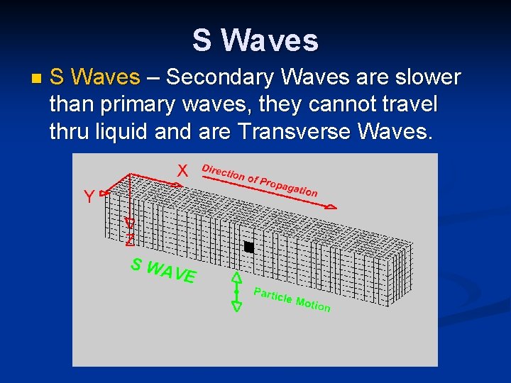 S Waves n S Waves – Secondary Waves are slower than primary waves, they