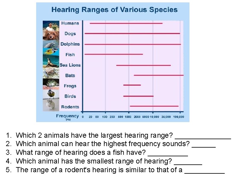 1. Which 2 animals have the largest hearing range? _______ 2. Which animal can