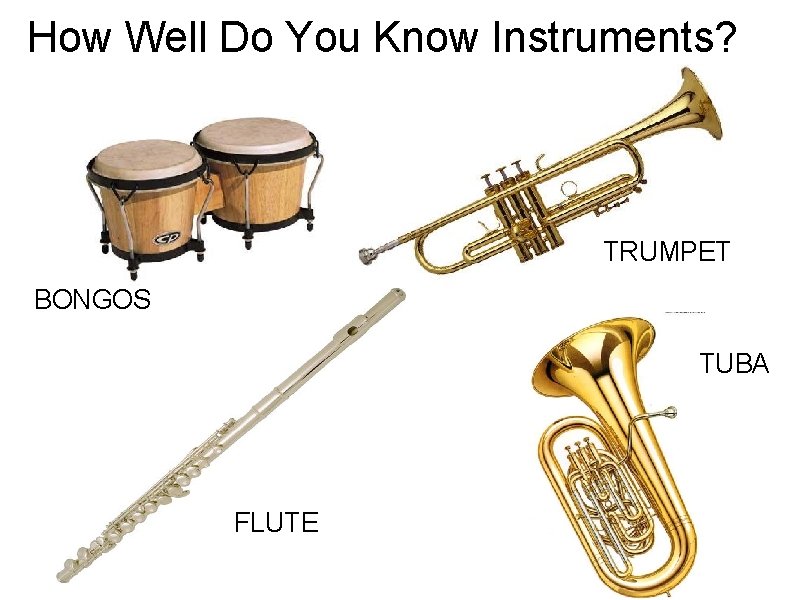 How Well Do You Know Instruments? TRUMPET BONGOS TUBA FLUTE 