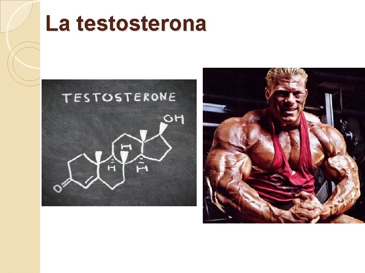 LAS HORMONAS Y EL DEPORTE Javier Mohigefer Barrera