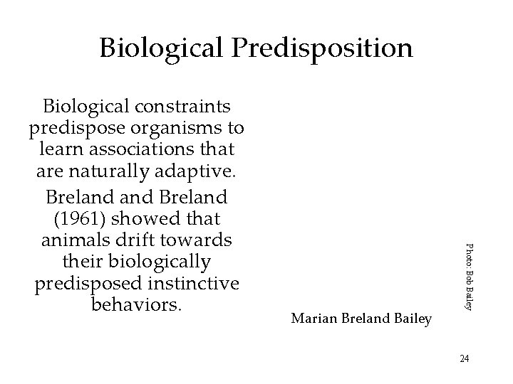 Biological Predisposition Marian Breland Bailey Photo: Bob Bailey Biological constraints predispose organisms to learn