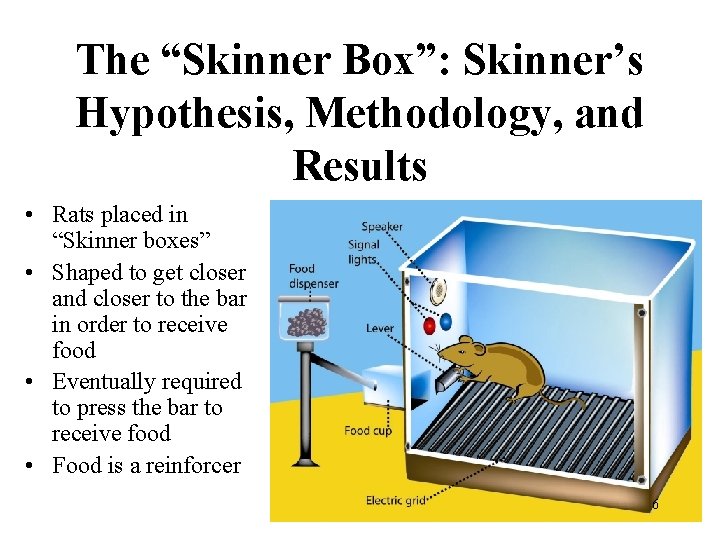 The “Skinner Box”: Skinner’s Hypothesis, Methodology, and Results • Rats placed in “Skinner boxes”