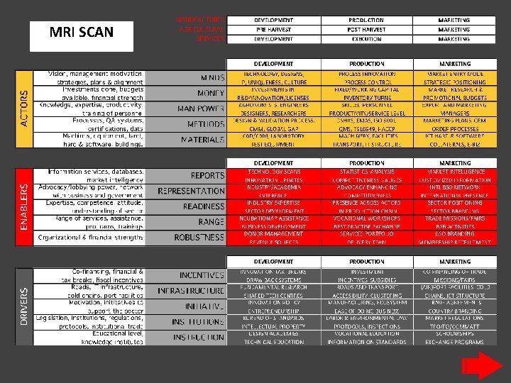 MRI SCAN 