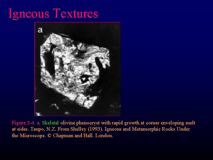 Igneous Textures Figure 3 -4. a. Skeletal olivine phenocryst with rapid growth at corner