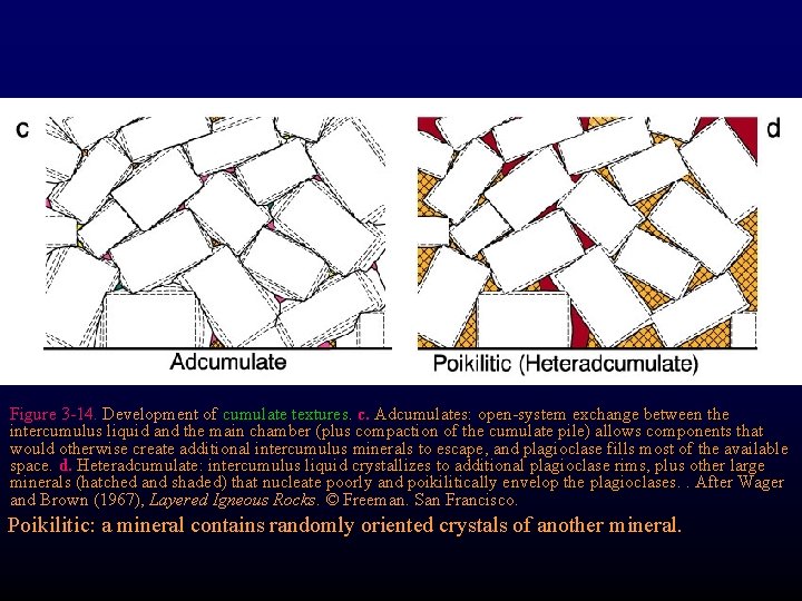 Figure 3 -14. Development of cumulate textures. c. Adcumulates: open-system exchange between the intercumulus