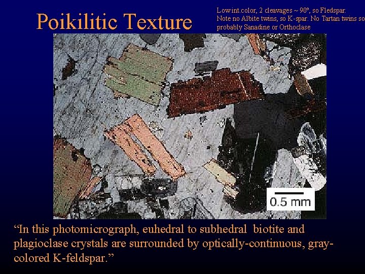 Poikilitic Texture Low int. color, 2 cleavages ~ 90 o, so Fledspar. Note no