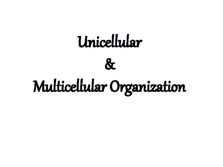 Unicellular & Multicellular Organization 