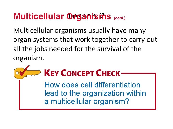 Multicellular Organisms Lesson 2 (cont. ) Multicellular organisms usually have many organ systems that