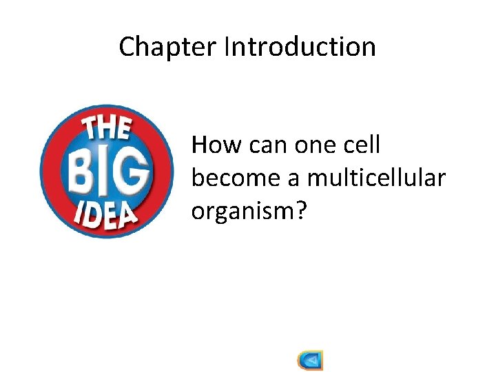 Chapter Introduction How can one cell become a multicellular organism? 